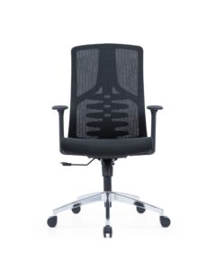 Executive Chair for Luxury Office Comfort & Style