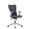 Ergonomic Chair for Back Support & Comfortable Seating