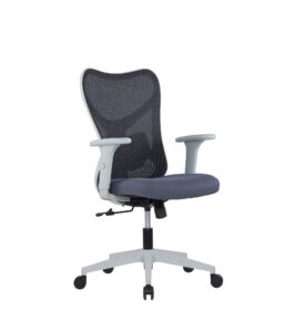 Ergonomic Chair for Back Support & Comfortable Seating
