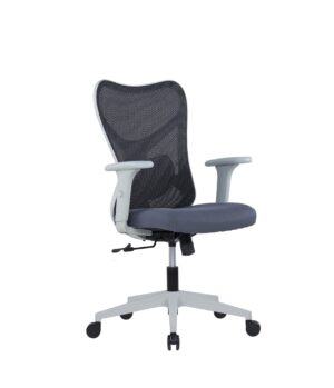 Ergonomic Chair for Back Support & Comfortable Seating