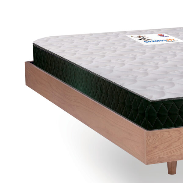 Spring Fit Pillow Top